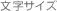 文字サイズ