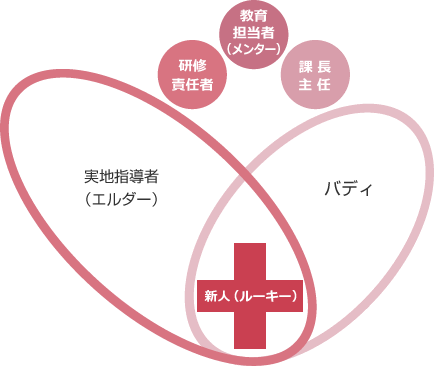 看護部新人教育体制組織図