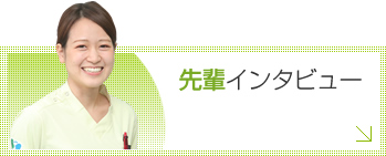 先輩インタビュー
